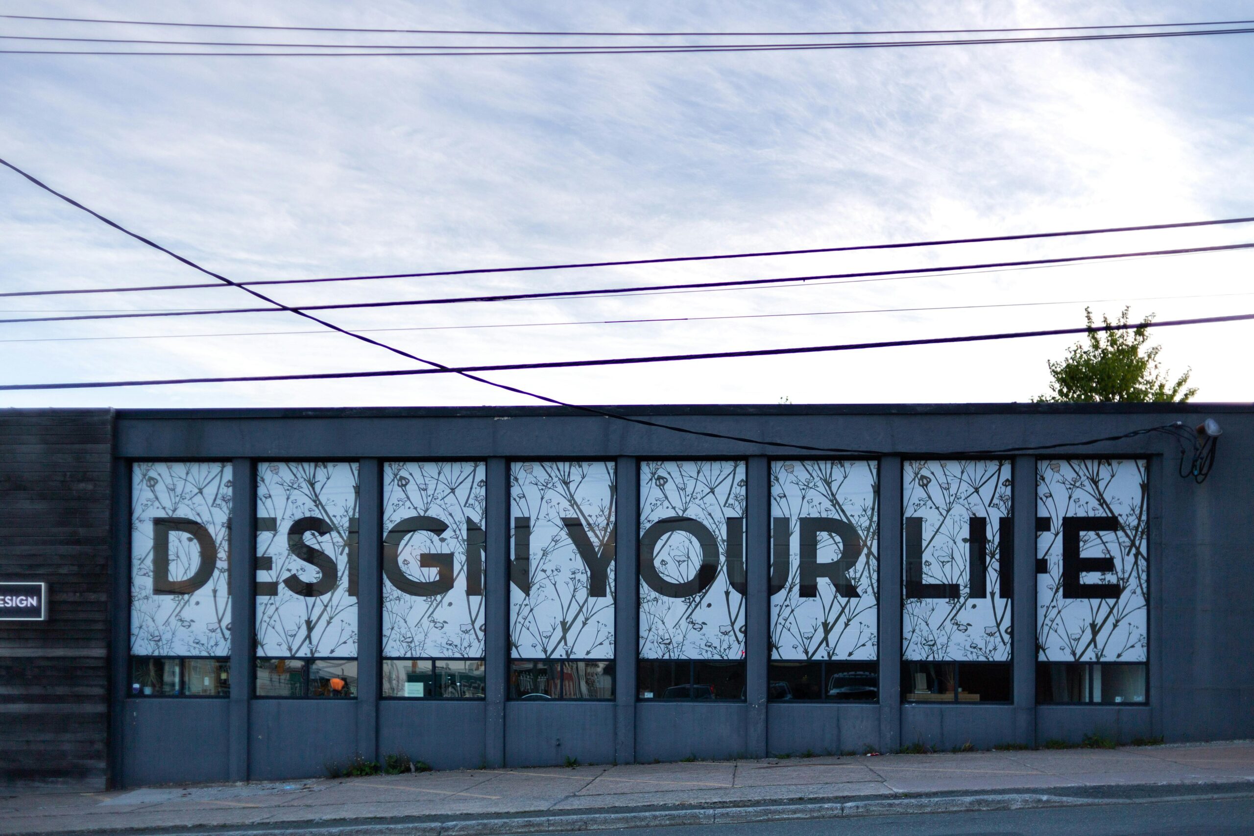 Discover how color psychology and strategic vinyl graphics influence customer behavior in commercial spaces. Learn to use walls, floors, and windows to guide decisions and boost sales.
